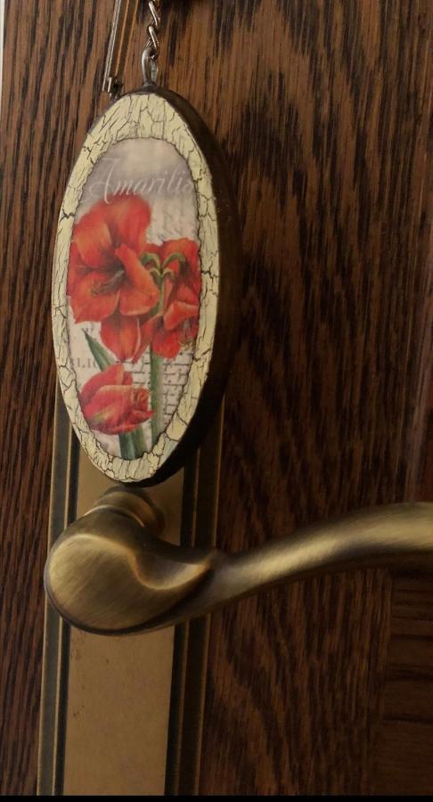La Casa De Las Flores Casa Rural Pulgar Dış mekan fotoğraf